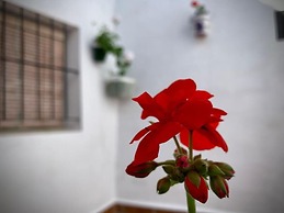 Casa Rural Sierra Tórtola 1