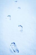 Barefoot Villas Cabin 2 Moose w/ Hot Tub