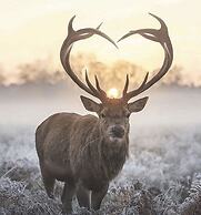 Barefoot Villas Cabin 2 Moose w/ Hot Tub