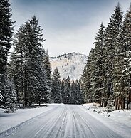 Barefoot Villas Cabin 2 Moose w/ Hot Tub