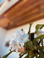 Beach Eco Stays Hotel Boutique Lagoinha