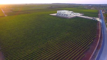 Gianfranco Fino Viticoltore