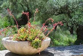 Villa Petalouda Stunning Villa in Tragaki Zante