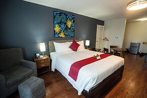 Paradiso Resort & Spa