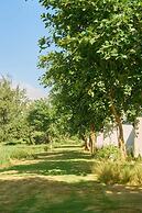 The Point Resort - Golf View Villa