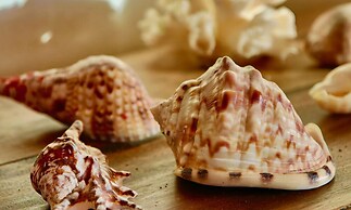 Quill Gardens Boutique Hotel