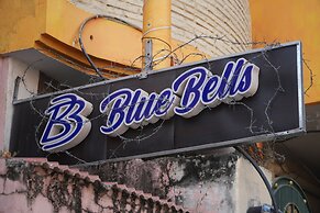 Bluebells Varanasi