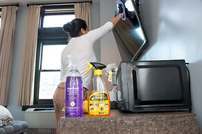 Awesome En Suite Studio