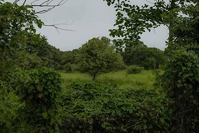 Surrounded By Trees In Front Of The Sea