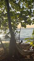Surrounded By Trees In Front Of The Sea