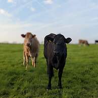 Stunning Shepherd's Hut Retreat, North Devon