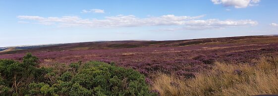 5m xl Bell Tent With log Burner, Near Whitby