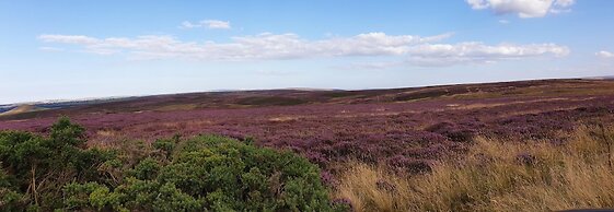 6m Emperor Tent, Near Whitby, With log Burner