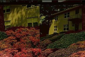 B2bh Great Location Peaceful Condo Near Peachtree Street