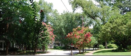 B1bg Quiet Condo Perfect for Travel Nurses