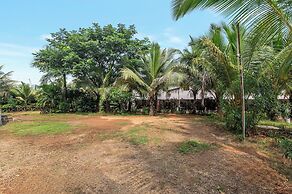 Sterling Banashree Badami