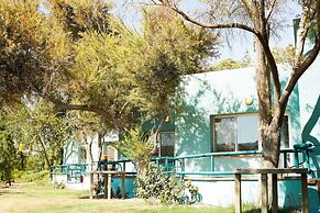 SEVEN Almog