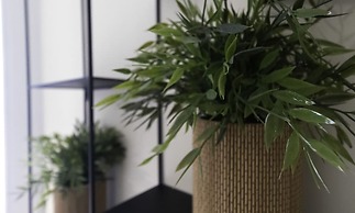 Italianway - The B Village New