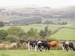 Bryn Dedwydd Cottage