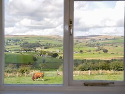 Bryn Dedwydd Cottage