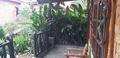 Mountain View Cottages & Villa Tangkahan