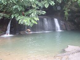 Mountain View Cottages & Villa Tangkahan