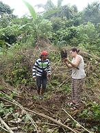 Mountain View Cottages & Villa Tangkahan