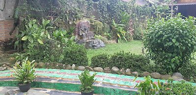 Mountain View Cottages & Villa Tangkahan