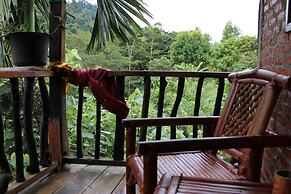 Mountain View Cottages & Villa Tangkahan