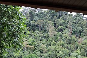 Mountain View Cottages & Villa Tangkahan