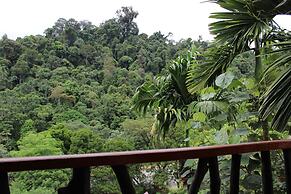 Mountain View Cottages & Villa Tangkahan