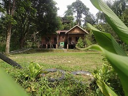 Mountain View Cottages & Villa Tangkahan