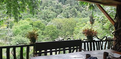 Mountain View Cottages & Villa Tangkahan