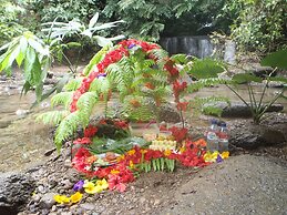 Mountain View Cottages & Villa Tangkahan