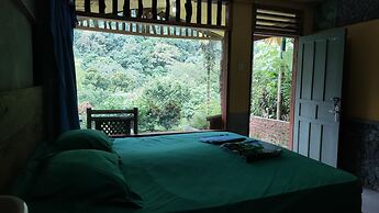 Mountain View Cottages & Villa Tangkahan