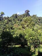 Mountain View Cottages & Villa Tangkahan