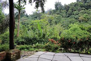 Mountain View Cottages & Villa Tangkahan