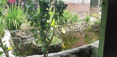 Mountain View Cottages & Villa Tangkahan