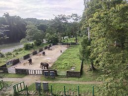 Mountain View Cottages & Villa Tangkahan