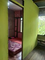 Mountain View Cottages & Villa Tangkahan
