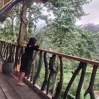 Mountain View Cottages & Villa Tangkahan