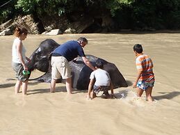 Mountain View Cottages & Villa Tangkahan