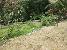 Mountain View Cottages & Villa Tangkahan