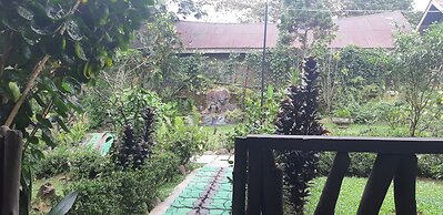 Mountain View Cottages & Villa Tangkahan
