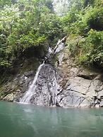 Mountain View Cottages & Villa Tangkahan