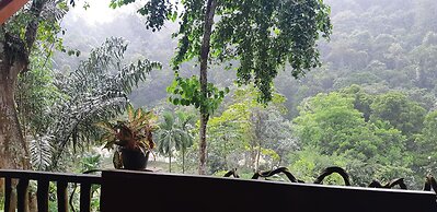 Mountain View Cottages & Villa Tangkahan
