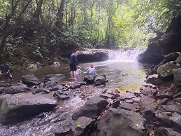 Mountain View Cottages & Villa Tangkahan