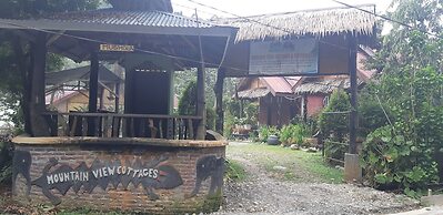 Mountain View Cottages & Villa Tangkahan