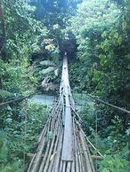 Mountain View Cottages & Villa Tangkahan