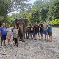 Mountain View Cottages & Villa Tangkahan